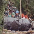 moving the geotextile down to the trail