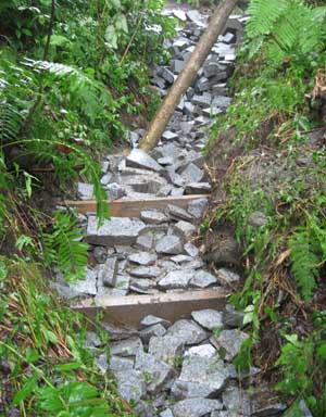 erosion controls in gully