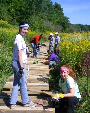 volunteers build boardwalk