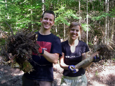 people holding stumps