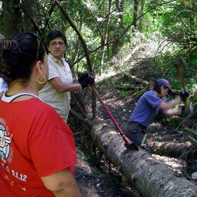 women ax blowdown