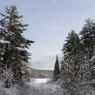 snowcovered pond