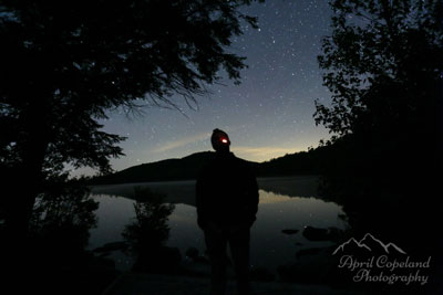 pond at night