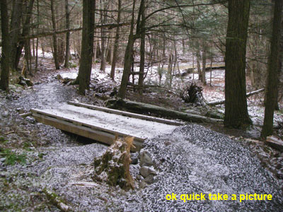 trail in snow