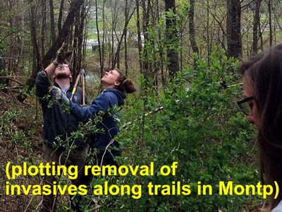 NCCC removes invasive plants