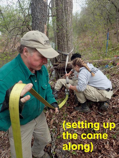 NCCC removes invasive plants