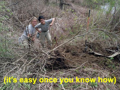 NCCC removes invasive plants