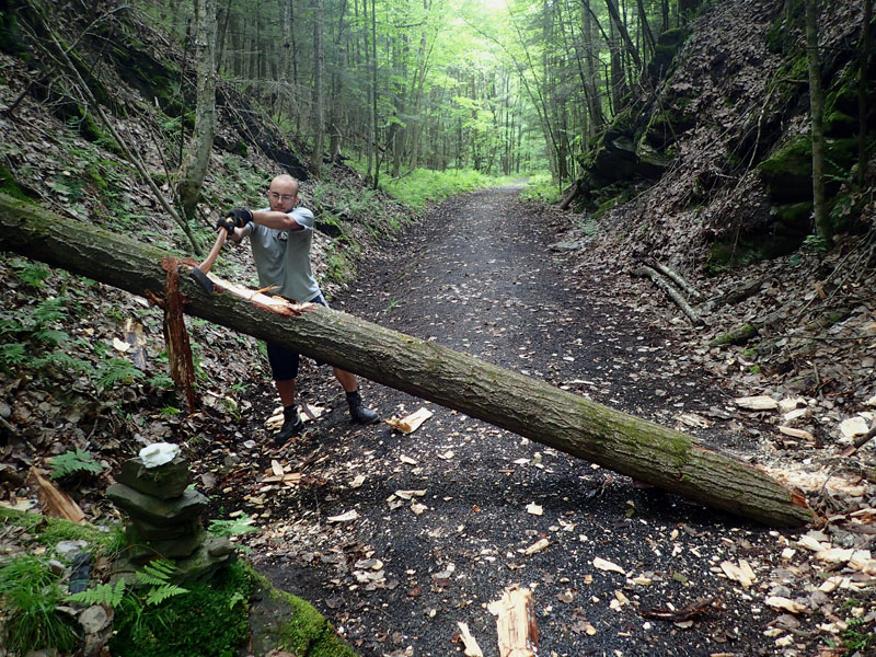 Americorps axes blowdown tree