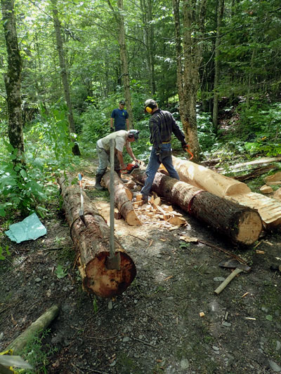 prepping log scarfs with chainsaw