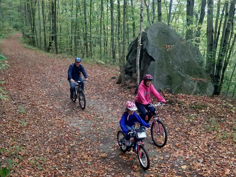 2017 foliage ride