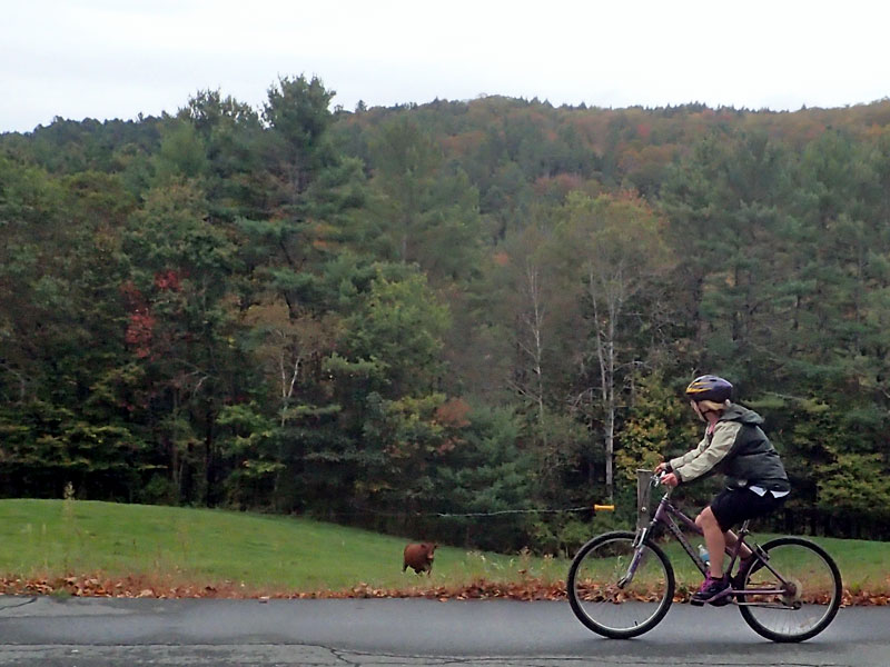 2017 xvt foliage ride