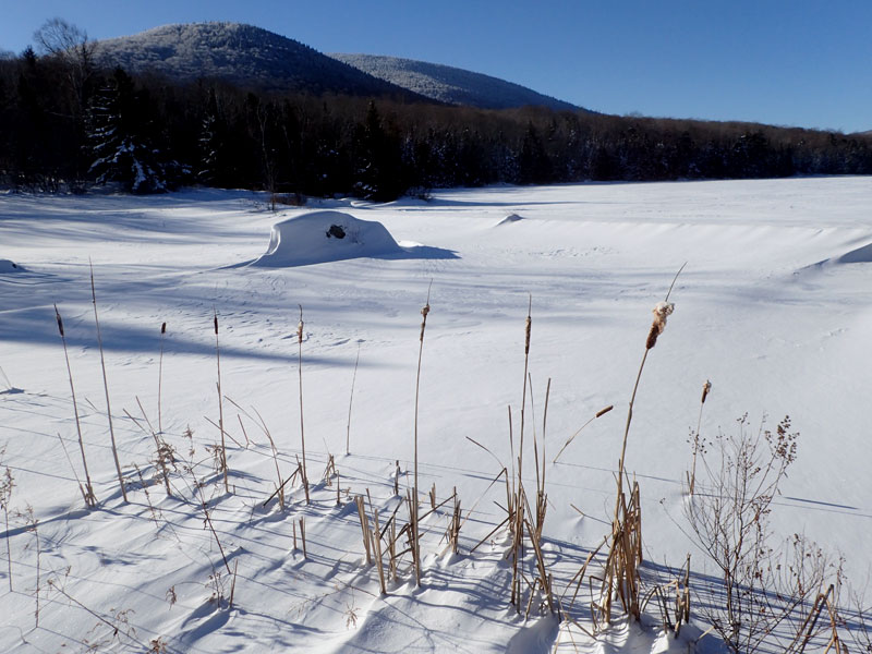 view of Noyes Pond