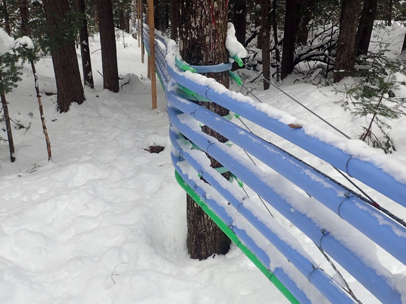 maple sugar lines and trail