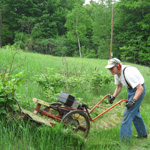man mows grass