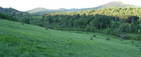 rolling hills in Marshfield