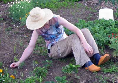 woman weeding garden