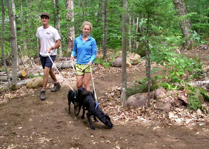 dog walkers