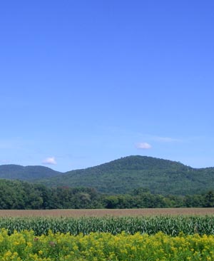 view of field and mountains from trail