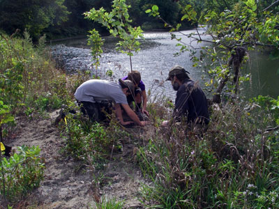 planting trees