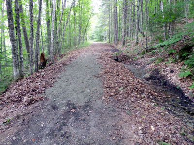 repaired trail