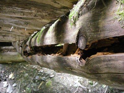 log bridge repair