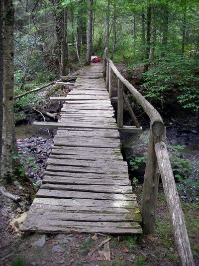 log bridge repair