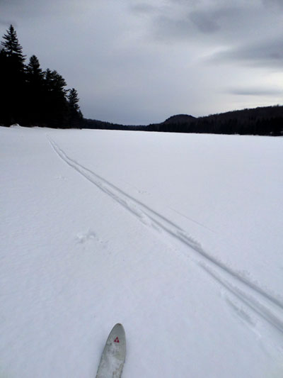 ski tracks in snow