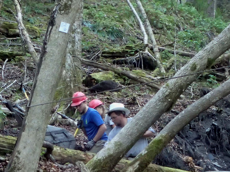 men move boulder in forest