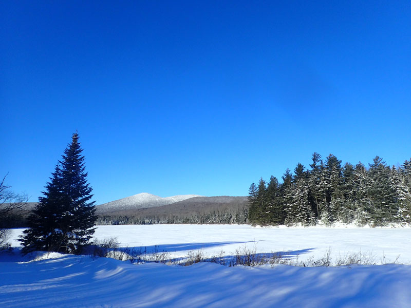 view of Noyes Pond