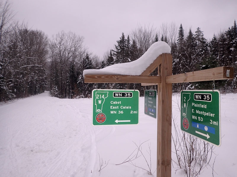 maple sugar lines and trail