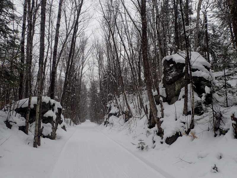 maple sugar lines and trail
